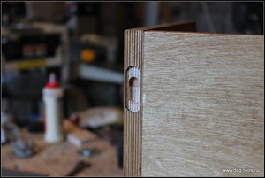 IMG_2355.JPG (4538 просмотров) <a class='original' href='./download/file.php?id=128172&mode=view' target=_blank>Загрузить оригинал (323.99 КБ)</a>