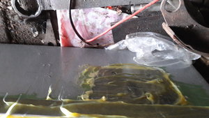 20180114_132214.jpg (2630 просмотров) <a class='original' href='./download/file.php?id=129305&mode=view' target=_blank>Загрузить оригинал (2.1 МБ)</a>