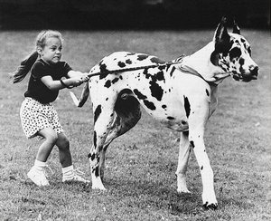 998615_10200769798862297_1503213572_n.jpg (3309 просмотров) <a class='original' href='./download/file.php?id=129477&mode=view' target=_blank>Загрузить оригинал (128.06 КБ)</a>