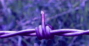 13935041_110943786017459_5082927492501052358_n.jpg (3389 просмотров) <a class='original' href='./download/file.php?id=130063&mode=view' target=_blank>Загрузить оригинал (26.81 КБ)</a>