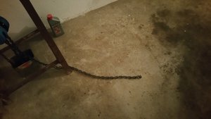 20180122_202049.jpg (2687 просмотров) <a class='original' href='./download/file.php?id=130765&mode=view' target=_blank>Загрузить оригинал (3.4 МБ)</a>