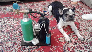 IMG_20180212_155029.jpg (3586 просмотров) <a class='original' href='./download/file.php?id=132240&mode=view' target=_blank>Загрузить оригинал (2.03 МБ)</a>