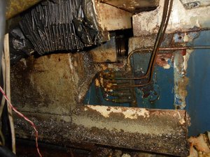 DSC04766 (Копировать).JPG (1401 просмотр) <a class='original' href='./download/file.php?id=133228&mode=view' target=_blank>Загрузить оригинал (473.26 КБ)</a>