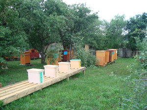 На Пасеке в рабочем состоянии. (8114 просмотров) <a class='original' href='./download/file.php?id=134113&mode=view' target=_blank>Загрузить оригинал (2.09 МБ)</a>