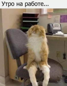 Screenshot - 09.03.2018 , 11_23_36.png (4590 просмотров) <a class='original' href='./download/file.php?id=134165&mode=view' target=_blank>Загрузить оригинал (229.87 КБ)</a>