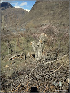 IMG_6954.JPG (5790 просмотров) <a class='original' href='./download/file.php?id=134923&mode=view' target=_blank>Загрузить оригинал (520.5 КБ)</a>