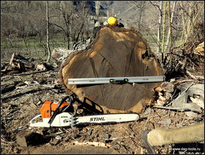 IMG_6956.JPG (5790 просмотров) <a class='original' href='./download/file.php?id=134925&mode=view' target=_blank>Загрузить оригинал (569.88 КБ)</a>