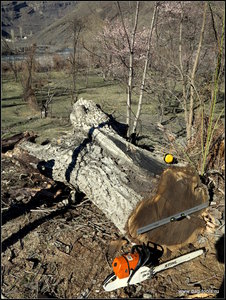 IMG_6959.JPG (5790 просмотров) <a class='original' href='./download/file.php?id=134928&mode=view' target=_blank>Загрузить оригинал (569.58 КБ)</a>