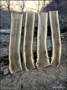 IMG_6962.JPG (5790 просмотров) <a class='original' href='./download/file.php?id=134931&mode=view' target=_blank>Загрузить оригинал (463.38 КБ)</a>