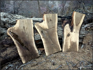 IMG_6963.JPG (5790 просмотров) <a class='original' href='./download/file.php?id=134932&mode=view' target=_blank>Загрузить оригинал (488.05 КБ)</a>