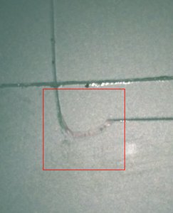 IMG_20180324_095139.jpg (1939 просмотров) <a class='original' href='./download/file.php?id=135457&mode=view' target=_blank>Загрузить оригинал (137.66 КБ)</a>