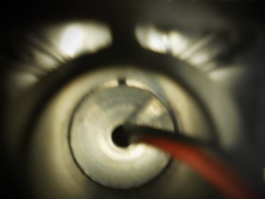 P3310097.JPG (6454 просмотра) <a class='original' href='./download/file.php?id=135758&sid=8f57b52be1006c28a44385ca3e9ada3b&mode=view' target=_blank>Загрузить оригинал (2.41 МБ)</a>