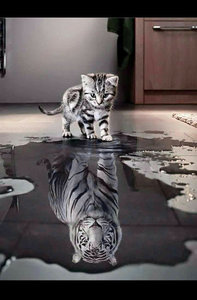 image.jpeg (4027 просмотров) <a class='original' href='./download/file.php?id=135760&mode=view' target=_blank>Загрузить оригинал (40.51 КБ)</a>