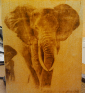 слон ближе (4485 просмотров) <a class='original' href='./download/file.php?id=13720&mode=view' target=_blank>Загрузить оригинал (2.89 МБ)</a>