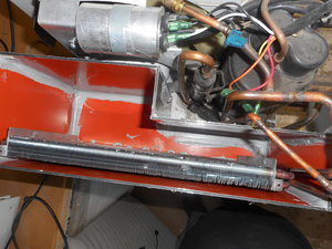 DSCN0338.JPG (3419 просмотров) <a class='original' href='./download/file.php?id=138384&mode=view' target=_blank>Загрузить оригинал (4.13 МБ)</a>