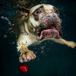 аряы.jpg (3406 просмотров) <a class='original' href='./download/file.php?id=139528&mode=view' target=_blank>Загрузить оригинал (84.38 КБ)</a>