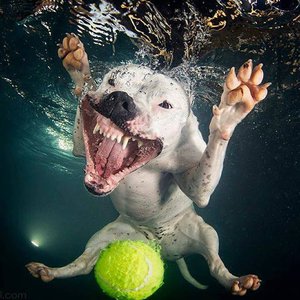 ьон.jpg (3406 просмотров) <a class='original' href='./download/file.php?id=139529&mode=view' target=_blank>Загрузить оригинал (131.17 КБ)</a>