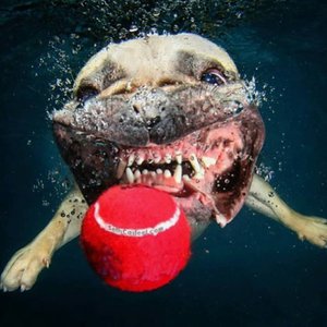 45432121.jpg (3406 просмотров) <a class='original' href='./download/file.php?id=139533&mode=view' target=_blank>Загрузить оригинал (87.8 КБ)</a>