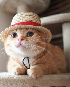 вава.jpg (3182 просмотра) <a class='original' href='./download/file.php?id=139687&mode=view' target=_blank>Загрузить оригинал (62.4 КБ)</a>