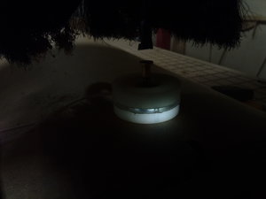 IMG_20180515_144131.jpg (6982 просмотра) <a class='original' href='./download/file.php?id=140146&mode=view' target=_blank>Загрузить оригинал (1.96 МБ)</a>