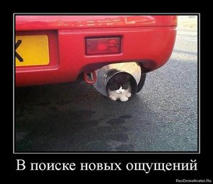 37455_578.jpg (2904 просмотра) <a class='original' href='./download/file.php?id=140252&mode=view' target=_blank>Загрузить оригинал (81.1 КБ)</a>