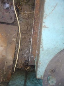 P1050398i1067x800.jpg (25585 просмотров) <a class='original' href='./download/file.php?id=14098&mode=view' target=_blank>Загрузить оригинал (54.91 КБ)</a>