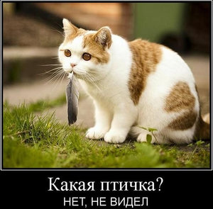 37455_595.jpg (3257 просмотров) <a class='original' href='./download/file.php?id=141122&mode=view' target=_blank>Загрузить оригинал (87.63 КБ)</a>