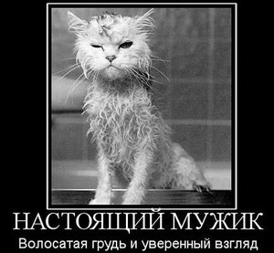 37455_606.jpg (3257 просмотров) <a class='original' href='./download/file.php?id=141123&mode=view' target=_blank>Загрузить оригинал (36.17 КБ)</a>