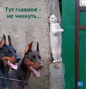 image (3).jpg (3263 просмотра) <a class='original' href='./download/file.php?id=141313&sid=04bad1fa46f1966d48931255336ddf36&mode=view' target=_blank>Загрузить оригинал (85.67 КБ)</a>