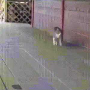 01-46-23-doc235783805_467313886.gif (3123 просмотра) <a class='original' href='./download/file.php?id=141370&sid=04bad1fa46f1966d48931255336ddf36&mode=view' target=_blank>Загрузить оригинал (4.34 МБ)</a>