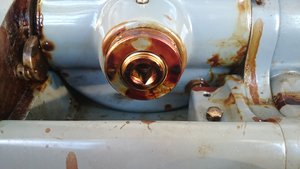 DSC_0283.JPG (4699 просмотров) <a class='original' href='./download/file.php?id=141801&mode=view' target=_blank>Загрузить оригинал (3.16 МБ)</a>