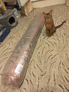 IMG_20180628_232905.jpg (5677 просмотров) <a class='original' href='./download/file.php?id=141980&mode=view' target=_blank>Загрузить оригинал (2.71 МБ)</a>