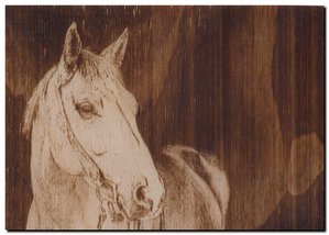 лошадь темная.jpg (3305 просмотров) <a class='original' href='./download/file.php?id=143109&mode=view' target=_blank>Загрузить оригинал (355.27 КБ)</a>