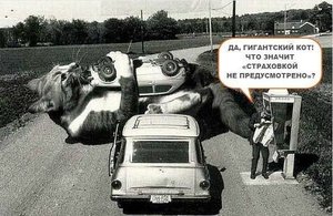 страховка.jpg (3740 просмотров) <a class='original' href='./download/file.php?id=143219&mode=view' target=_blank>Загрузить оригинал (63.58 КБ)</a>