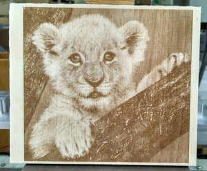 IMG_20180724_113812.jpg (3105 просмотров) <a class='original' href='./download/file.php?id=143292&mode=view' target=_blank>Загрузить оригинал (2.05 МБ)</a>