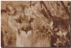 пума кугуар.png (2164 просмотра) <a class='original' href='./download/file.php?id=143868&mode=view' target=_blank>Загрузить оригинал (361.95 КБ)</a>