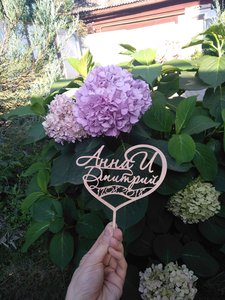 IMG_20180803_180945.jpg (2381 просмотр) <a class='original' href='./download/file.php?id=143936&mode=view' target=_blank>Загрузить оригинал (3.9 МБ)</a>