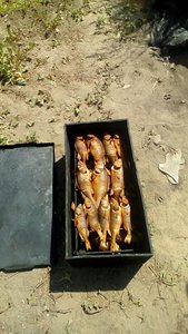 WhatsApp Image 2018-08-06 at 14.49.25.jpeg (3093 просмотра) <a class='original' href='./download/file.php?id=144085&mode=view' target=_blank>Загрузить оригинал (236.41 КБ)</a>