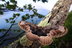 010A0702.JPG (9043 просмотра) <a class='original' href='./download/file.php?id=145144&mode=view' target=_blank>Загрузить оригинал (293.39 КБ)</a>