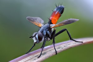 2018-07-15-22.05.26 ZS retouched.jpg (9043 просмотра) <a class='original' href='./download/file.php?id=145151&mode=view' target=_blank>Загрузить оригинал (208.9 КБ)</a>