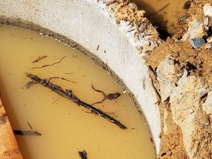 2018-08-03 14-32-45.JPG (1511 просмотров) <a class='original' href='./download/file.php?id=146682&mode=view' target=_blank>Загрузить оригинал (222.06 КБ)</a>