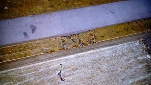 P_20181003_170713.jpg (4485 просмотров) <a class='original' href='./download/file.php?id=147636&mode=view' target=_blank>Загрузить оригинал (1.84 МБ)</a>