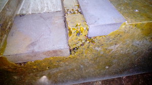 P_20181003_170732.jpg (4485 просмотров) <a class='original' href='./download/file.php?id=147638&mode=view' target=_blank>Загрузить оригинал (1.42 МБ)</a>