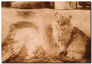 кошка на печке.jpg (77340 просмотров) <a class='original' href='./download/file.php?id=147664&mode=view' target=_blank>Загрузить оригинал (45.76 КБ)</a>