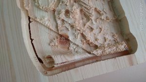 IMG_20181013_090223.jpg (4333 просмотра) <a class='original' href='./download/file.php?id=148240&mode=view' target=_blank>Загрузить оригинал (1.49 МБ)</a>