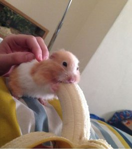 9j0TLZzrN9Q.jpg (2650 просмотров) <a class='original' href='./download/file.php?id=148665&mode=view' target=_blank>Загрузить оригинал (40.86 КБ)</a>