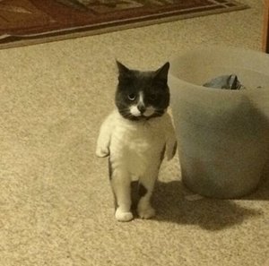 531982970a2f2706140da456bc8890cf.jpg (3008 просмотров) <a class='original' href='./download/file.php?id=148792&mode=view' target=_blank>Загрузить оригинал (107.13 КБ)</a>