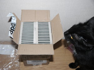 P1000414.JPG (4147 просмотров) <a class='original' href='./download/file.php?id=149611&mode=view' target=_blank>Загрузить оригинал (6.89 МБ)</a>