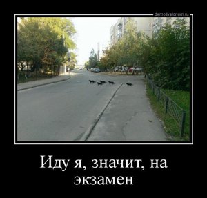 1539932071_demotivatory-1.jpg.91b71de932ba2520b2af32709966bb01.jpg (3040 просмотров) <a class='original' href='./download/file.php?id=150080&mode=view' target=_blank>Загрузить оригинал (38.44 КБ)</a>