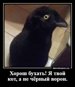 demotivato_6377009_30942943.png (3341 просмотр) <a class='original' href='./download/file.php?id=150877&mode=view' target=_blank>Загрузить оригинал (110.14 КБ)</a>